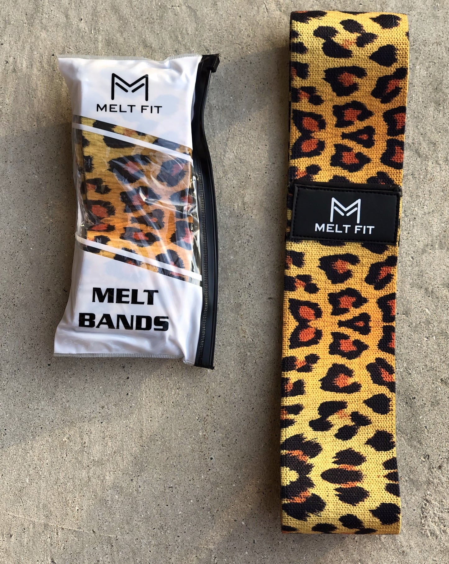 Melt Band